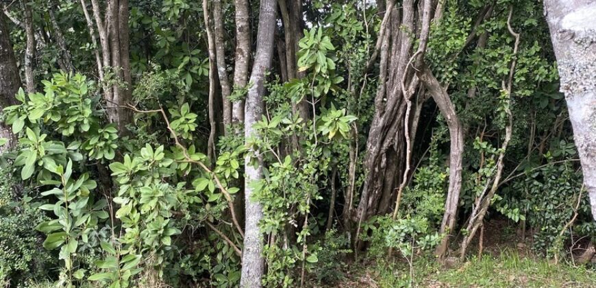 Hermosa casa nueva en parcela cerca de Villarrica